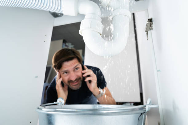 Best Leak Detection Services  in Charles City, IA