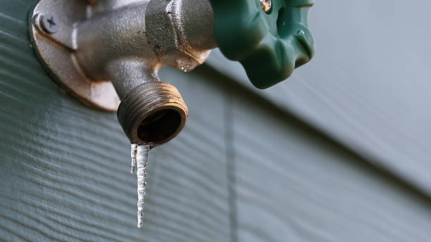 Best Residential Plumbing Services  in Charles City, IA